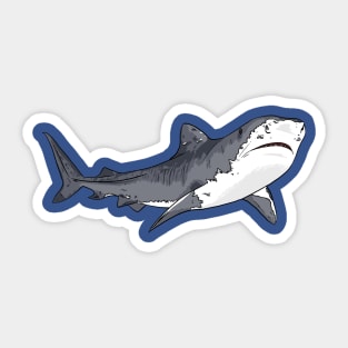 Tiger Shark Sticker